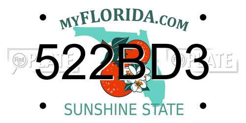 522BD3 Florida License Plate
