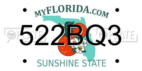 522BQ3 Florida License Plate
