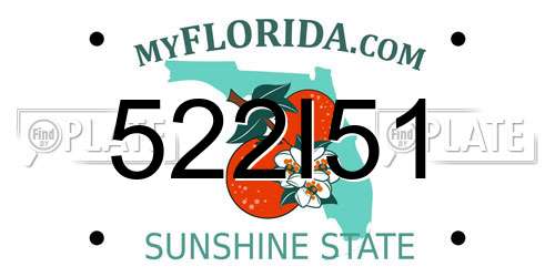 522I51 Florida License Plate