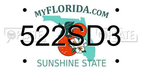 522SD3 Florida License Plate
