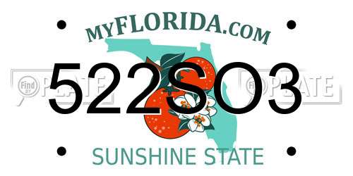 522SO3 Florida License Plate