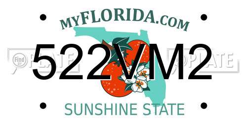 522VM2 Florida License Plate