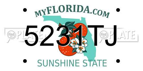 5231TJ Florida License Plate
