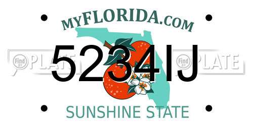 5234IJ Florida License Plate