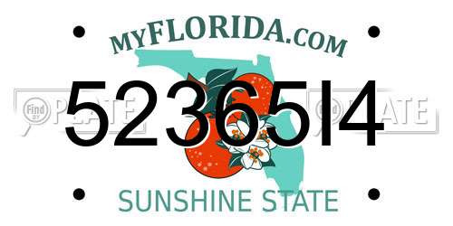 52365I4 Florida License Plate