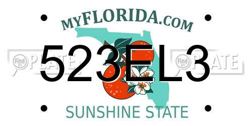 523EL3 Florida License Plate