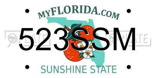 523SSM Florida License Plate