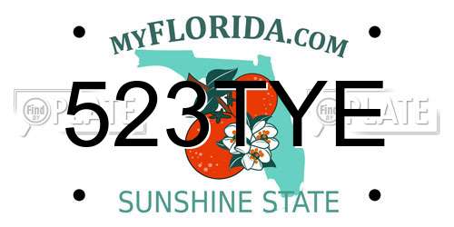 523TYE Florida License Plate