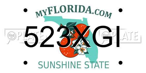 523XGI Florida License Plate