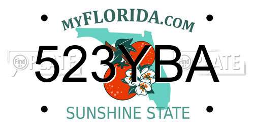 523YBA Florida License Plate
