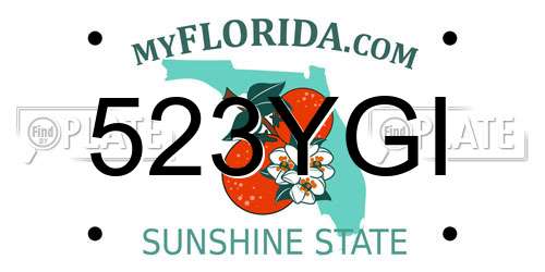 523YGI Florida License Plate