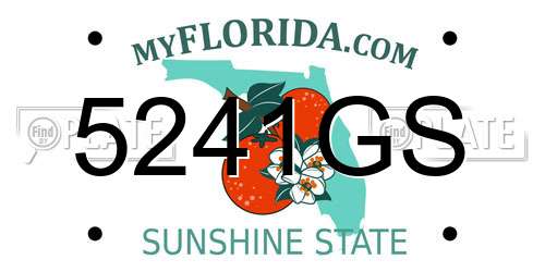 5241GS Florida License Plate