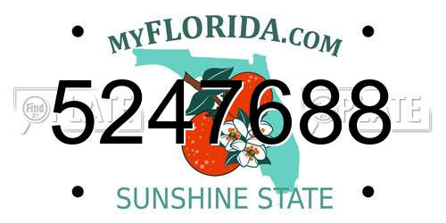 5247688 Florida License Plate