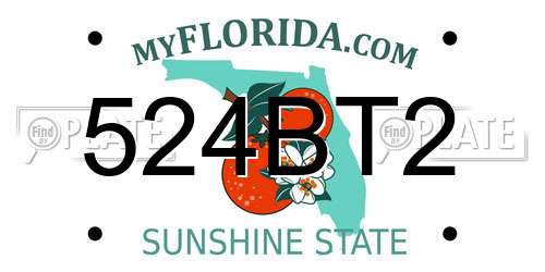 524BT2 Florida License Plate