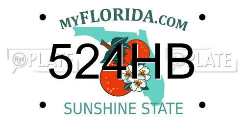524HB Florida License Plate
