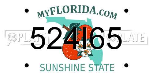 524I65 Florida License Plate