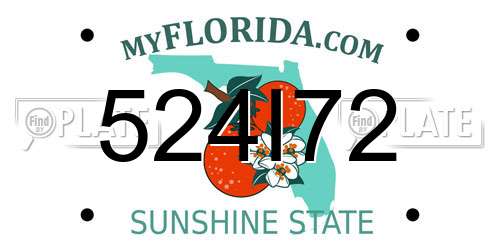 524I72 Florida License Plate