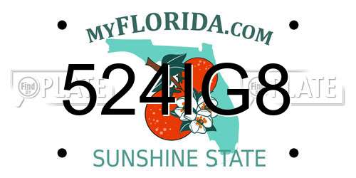 524IG8 Florida License Plate