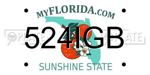 524IGB Florida License Plate
