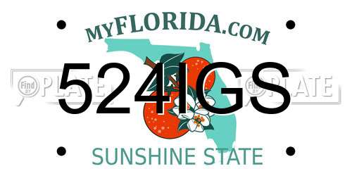 524IGS Florida License Plate