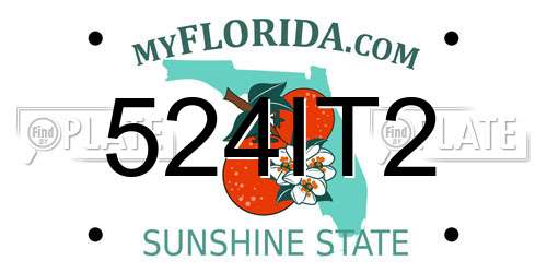 524IT2 Florida License Plate