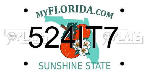 524IT7 Florida License Plate