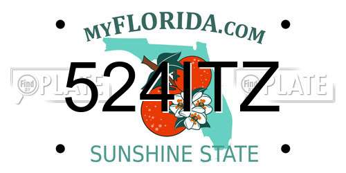 524ITZ Florida License Plate