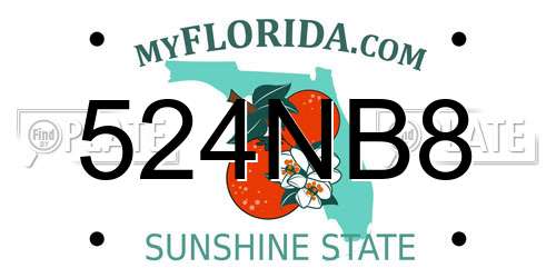 524NB8 Florida License Plate