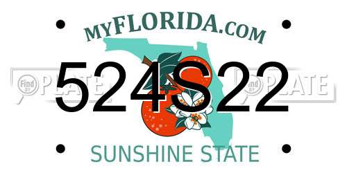 524S22 Florida License Plate