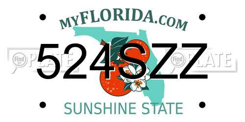 524SZZ Florida License Plate
