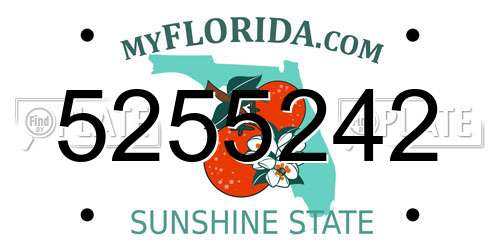 5255242 Florida License Plate