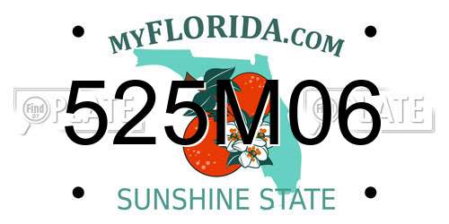 525M06 Florida License Plate