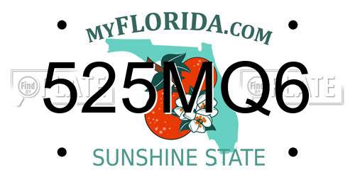 525MQ6 Florida License Plate