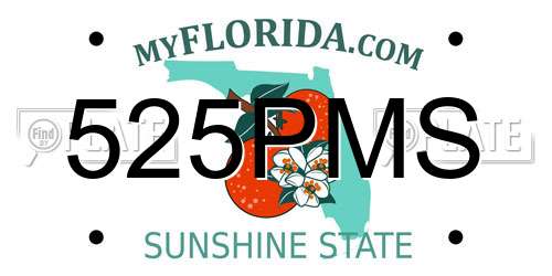 525PMS Florida License Plate