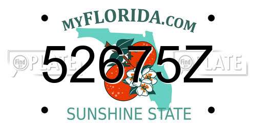 52675Z Florida License Plate