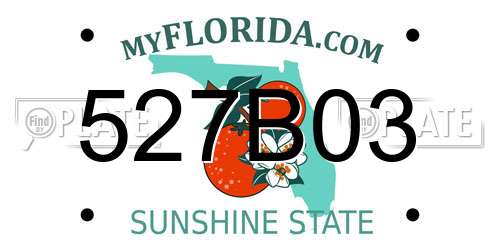 527B03 Florida License Plate