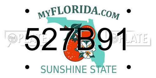 527B91 Florida License Plate