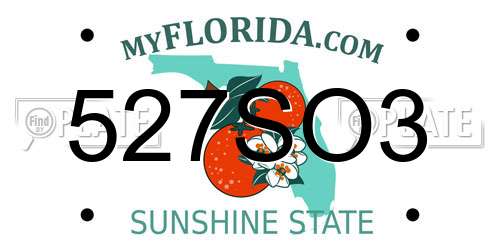 527SO3 Florida License Plate