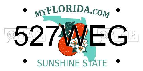 527WEG Florida License Plate