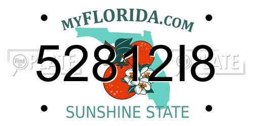 52812I8 Florida License Plate