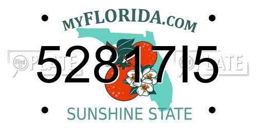 52817I5 Florida License Plate