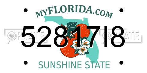 52817I8 Florida License Plate