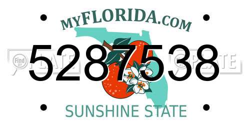 5287538 Florida License Plate