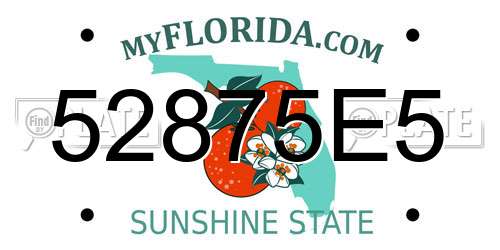 52875E5 Florida License Plate