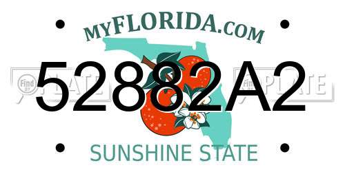 52882A2 Florida License Plate
