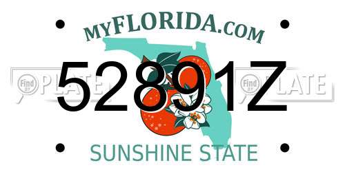 52891Z Florida License Plate