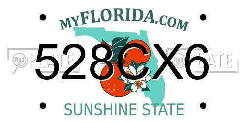 528CX6 Florida License Plate