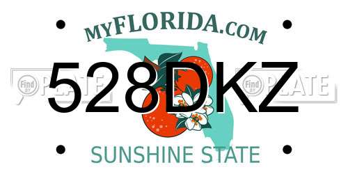 528DKZ Florida License Plate