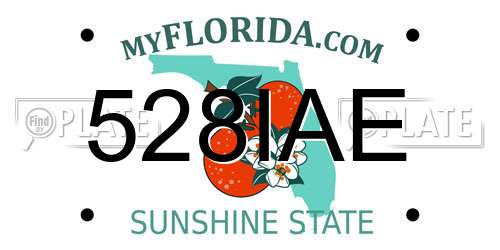 528IAE Florida License Plate