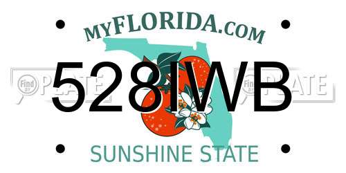 528IWB Florida License Plate